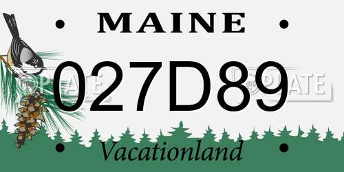 027D89 Maine License Plate
