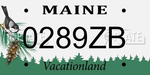 0289ZB Maine License Plate