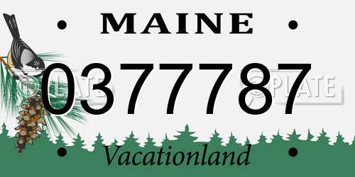 0377787 Maine License Plate