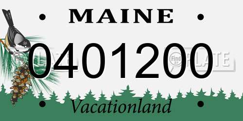 0401200 Maine License Plate