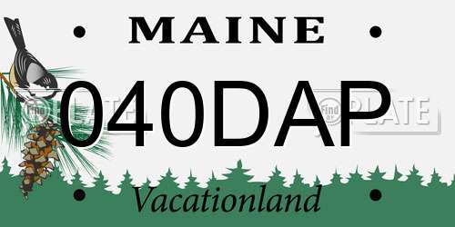 040DAP Maine License Plate
