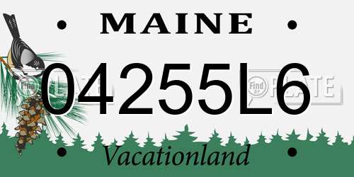 04255L6 Maine License Plate