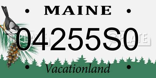 04255S0 Maine License Plate
