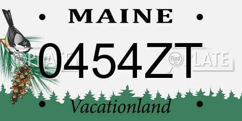 0454ZT Maine License Plate