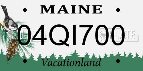 04QI700 Maine License Plate
