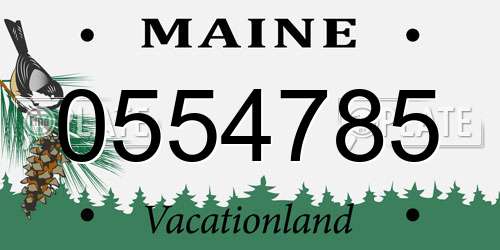 0554785 Maine License Plate