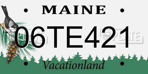 06TE421 Maine License Plate