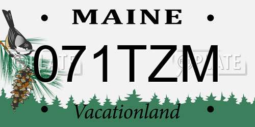 071TZM Maine License Plate