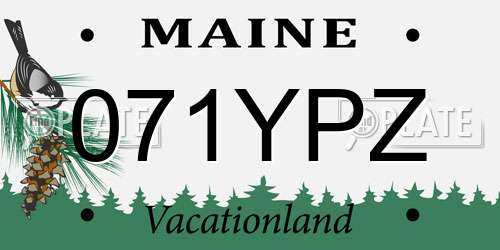 071YPZ Maine License Plate