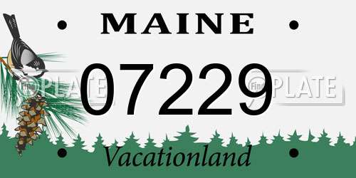 07229 Maine License Plate