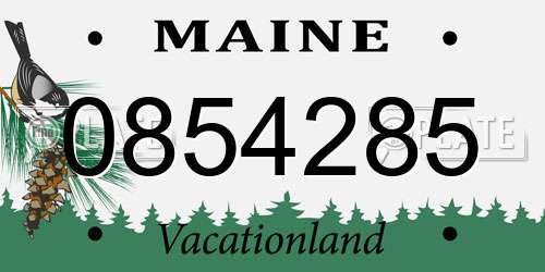 0854285 Maine License Plate