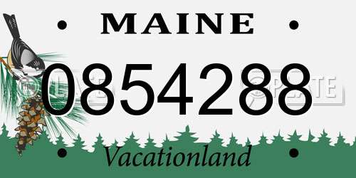 0854288 Maine License Plate