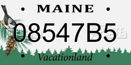 08547B5 Maine License Plate
