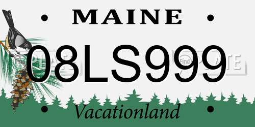 08LS999 Maine License Plate
