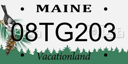 08TG203 Maine License Plate