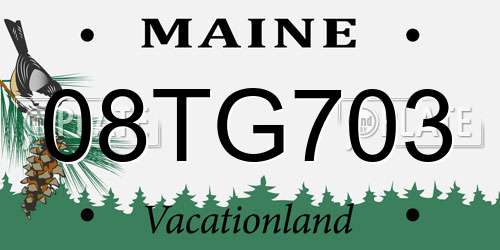 08TG703 Maine License Plate