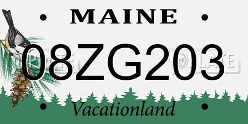 08ZG203 Maine License Plate
