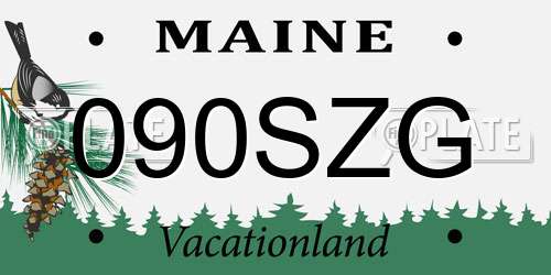 090SZG Maine License Plate