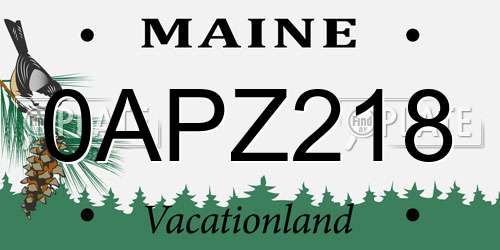 0APZ218 Maine License Plate