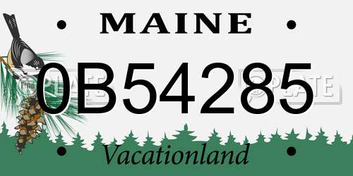 0B54285 Maine License Plate