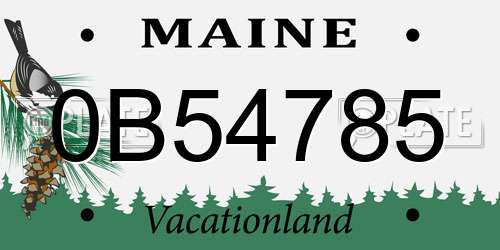 0B54785 Maine License Plate