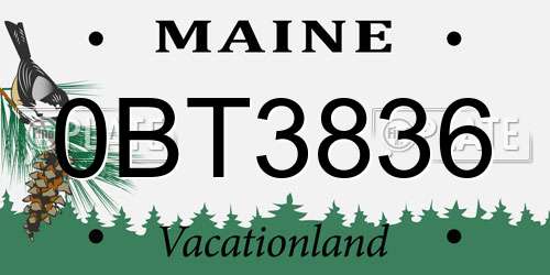 0BT3836 Maine License Plate