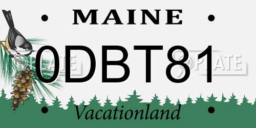 0DBT81 Maine License Plate