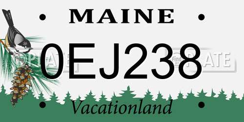 0EJ238 Maine License Plate