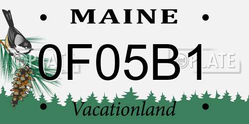 0F05B1 Maine License Plate