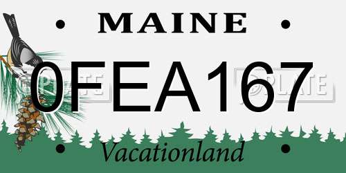 0FEA167 Maine License Plate