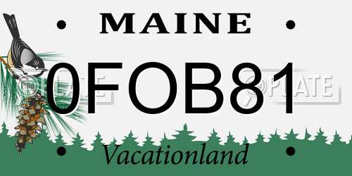 0FOB81 Maine License Plate