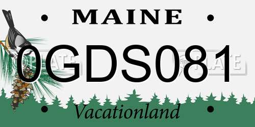 0GDS081 Maine License Plate