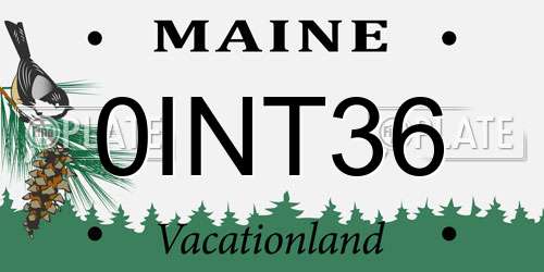 0INT36 Maine License Plate