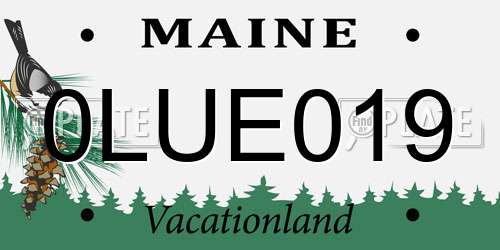 0LUE019 Maine License Plate