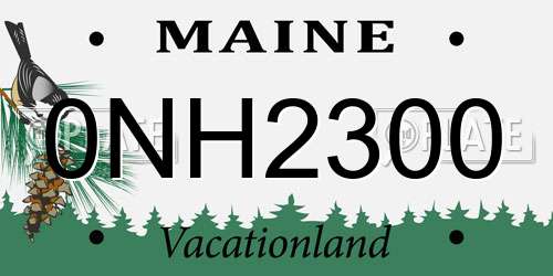 0NH2300 Maine License Plate