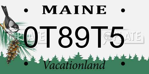 0T89T5 Maine License Plate