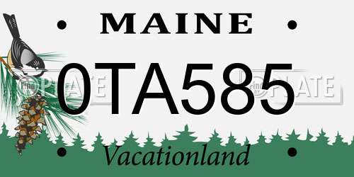 0TA585 Maine License Plate