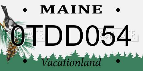 0TDD054 Maine License Plate