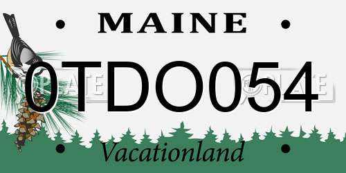 0TDO054 Maine License Plate