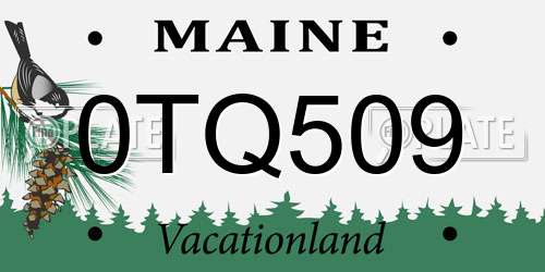 0TQ509 Maine License Plate