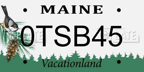 0TSB45 Maine License Plate