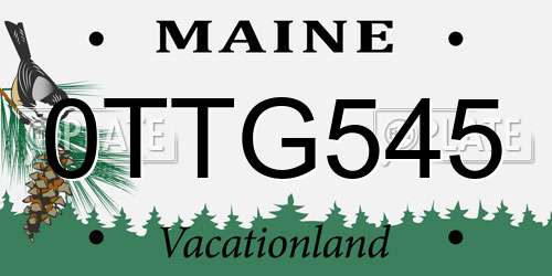 0TTG545 Maine License Plate