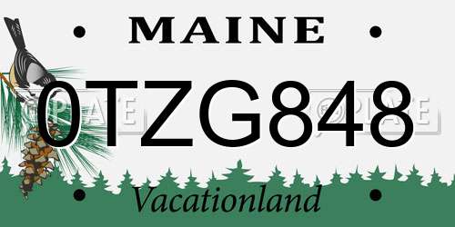 0TZG848 Maine License Plate