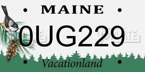 0UG229 Maine License Plate