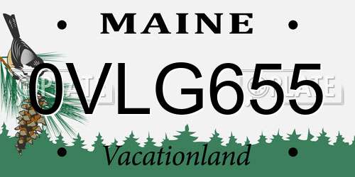 0VLG655 Maine License Plate