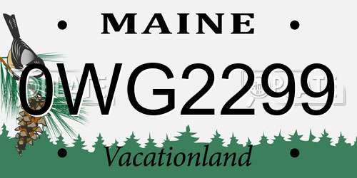 0WG2299 Maine License Plate