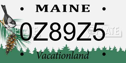 0Z89Z5 Maine License Plate