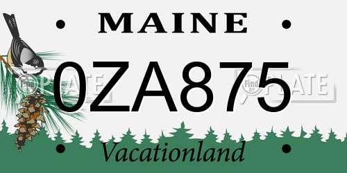 0ZA875 Maine License Plate