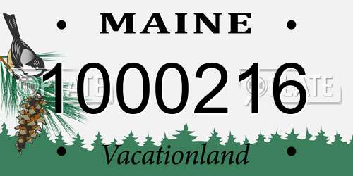 1000216 Maine License Plate
