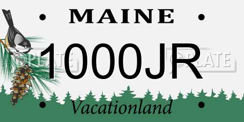 1000JR Maine License Plate